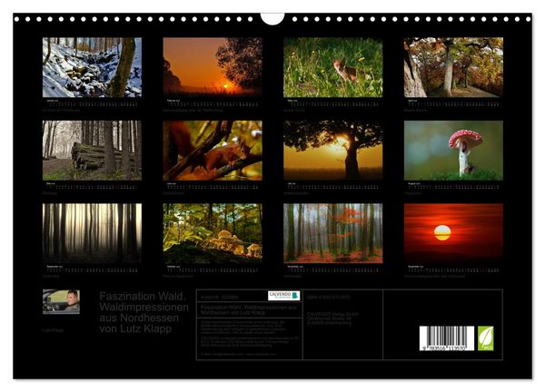 Produktbild: Faszination Wald. Waldimpressionen aus Nordhessen von Lutz Klapp (Wandkalender 2026 DIN A3 quer), CALVENDO Monatskalender