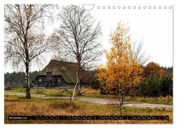 Produktbild: L&uuml;neburger Heide (Wandkalender 2026 DIN A4 quer), CALVENDO Monatskalender