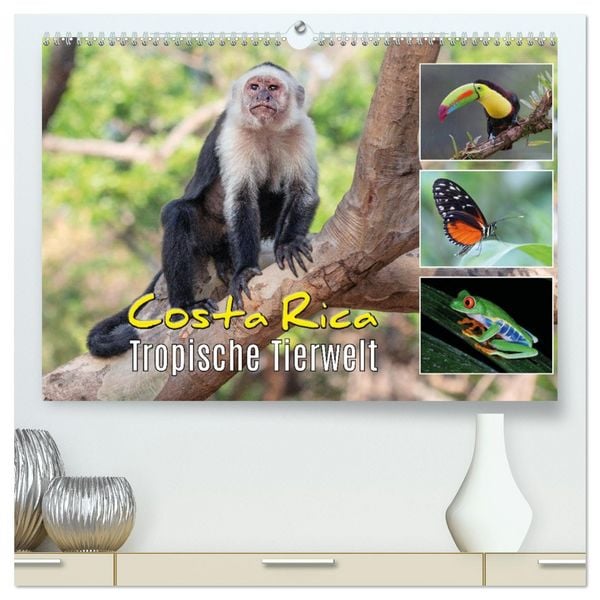Produktbild: Costa Rica - Tropische Tierwelt (hochwertiger Premium Wandkalender 2026 DIN A2 quer), Kunstdruck in Hochglanz
