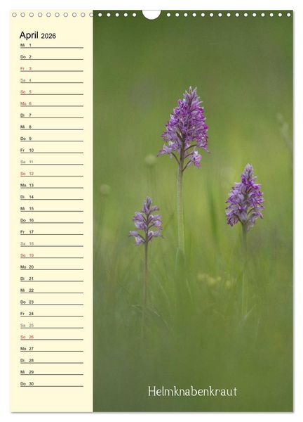 Produktbild: Wildwachsende Orchideen in Bayern (Wandkalender 2026 DIN A3 hoch), CALVENDO Monatskalender