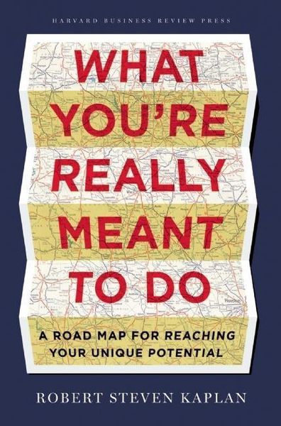 Produktbild: What You're Really Meant to Do