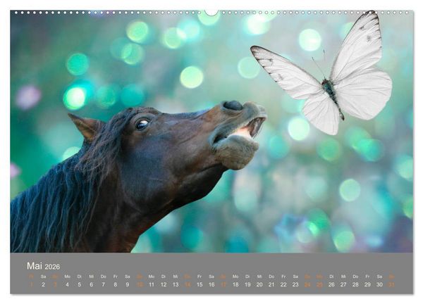 Produktbild: FANTASY Pferde Horses Caballos (hochwertiger Premium Wandkalender 2026 DIN A2 quer), Kunstdruck in Hochglanz