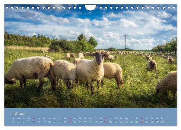 Produktbild: Kronsberg Hannover (Wandkalender 2026 DIN A4 quer), CALVENDO Monatskalender