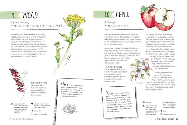 Produktbild: The Magic of Seeds