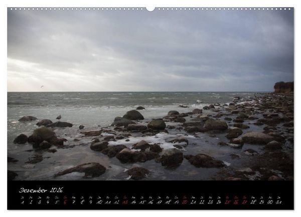 Produktbild: R&uuml;gen-Impressionen (hochwertiger Premium Wandkalender 2026 DIN A2 quer), Kunstdruck in Hochglanz