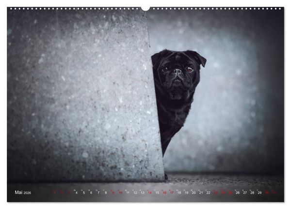 Produktbild: Diesels Welt (Wandkalender 2026 DIN A2 quer), CALVENDO Monatskalender