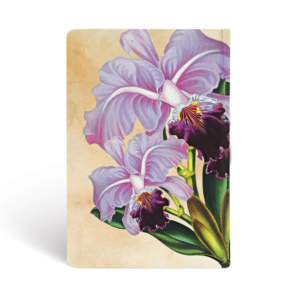 Produktbild: Hardcover Notizbuch Brasilianische Orchidee, Mini, Unliniert