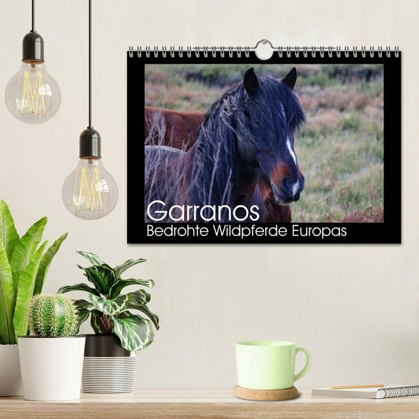 Produktbild: Garranos - Bedrohte Wildpferde Europas (Wandkalender 2026 DIN A4 quer), CALVENDO Monatskalender