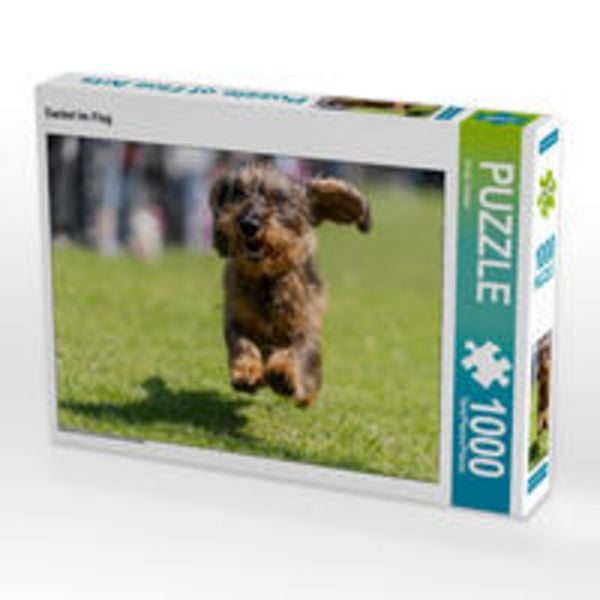 CALVENDO Puzzle Dackel im Flug 1000 Teile Lege-Größe 64 x 48 cm Foto-Puzzle Bild von Sonja Tessen