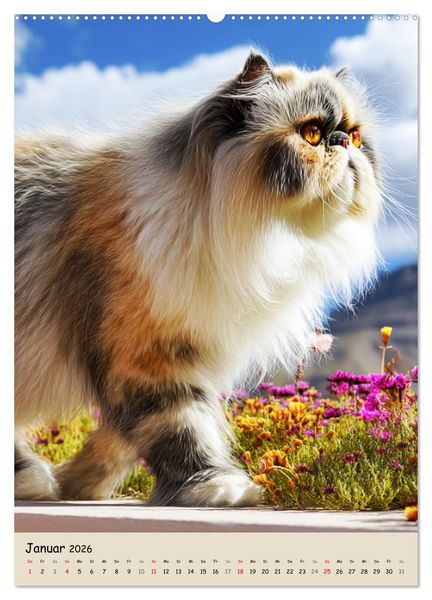 Produktbild: Perserkatzen. Zauberhafte Langhaar-Divas in Szene gesetzt (Wandkalender 2026 DIN A2 hoch), CALVENDO Monatskalender