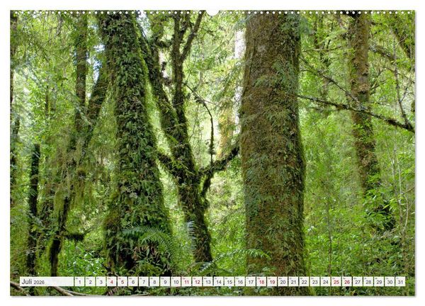 Produktbild: Magie dieses S&uuml;damerikanischen Landes, Chile (Wandkalender 2026 DIN A2 quer), CALVENDO Monatskalender