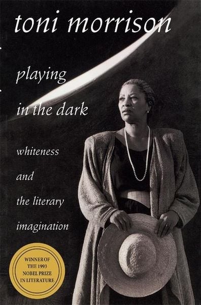 Produktbild: Playing in the Dark