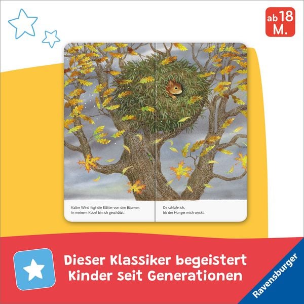 Produktbild: Ich bin das kleine Eichh&ouml;rnchen