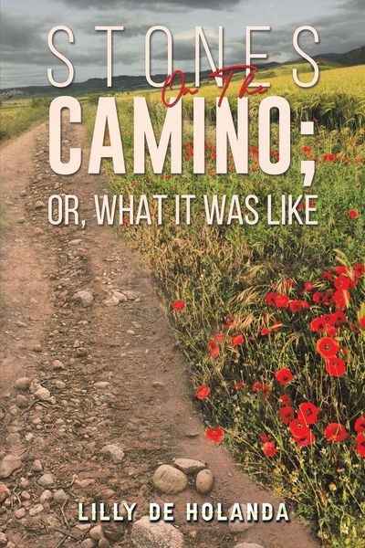 Produktbild: Stones on the Camino; or, What It Was Like