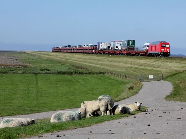 Produktbild: Die neue Baureihe 245 auf dem Hindenburgdamm (Puzzle)