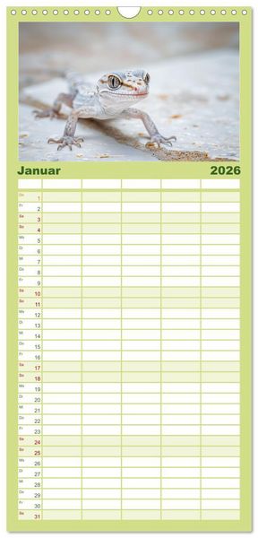 Produktbild: Familienplaner 2026 - Kleine Echsen haben Spass mit 5 Spalten (Wandkalender, 21 x 45 cm) CALVENDO
