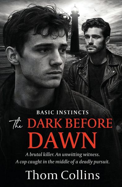 Produktbild: The Dark Before Dawn