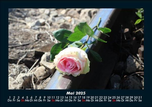 Produktbild: Blumenkalender 2025 Fotokalender DIN A5