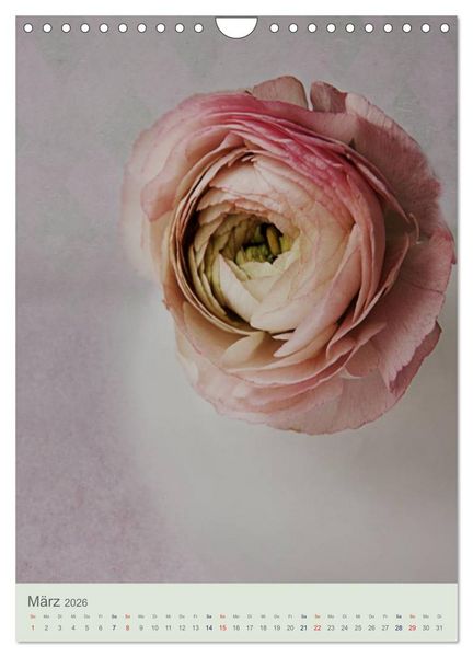 Produktbild: Flora (Wandkalender 2026 DIN A4 hoch), CALVENDO Monatskalender
