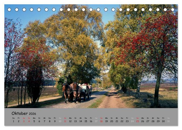 Produktbild: L&uuml;neburger Heide - sch&ouml;n zu jeder Jahreszeit (Tischkalender 2026 DIN A5 quer), CALVENDO Monatskalender