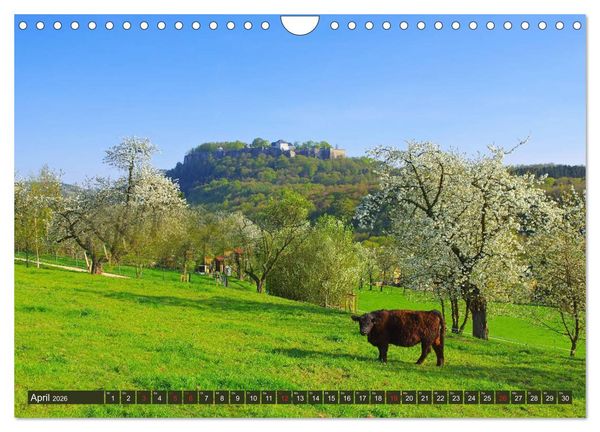 Produktbild: Die Sch&ouml;nheit der S&auml;chsischen Schweiz (Wandkalender 2026 DIN A4 quer), CALVENDO Monatskalender