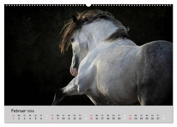 Produktbild: Pferde - Anmut und St&auml;rke gepaart mit Magie (hochwertiger Premium Wandkalender 2026 DIN A2 quer), Kunstdruck in Hochglanz