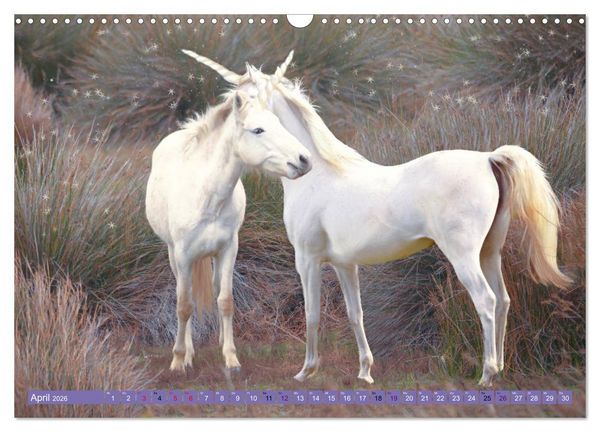 Produktbild: Einhorn Welt - vertr&auml;umte Einhornbilder (Wandkalender 2026 DIN A3 quer), CALVENDO Monatskalender