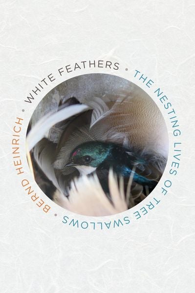 Produktbild: White Feathers