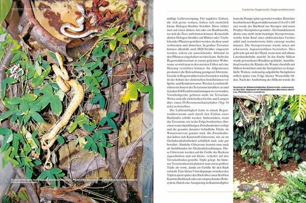 Produktbild: Pflanzen im Terrarium