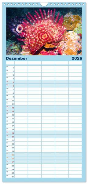 Produktbild: Familienplaner 2026 - Geheimnisvolle Welt unter Wasser - Nachts am Riff mit 5 Spalten (Wandkalender, 21 x 45 cm) CALVENDO