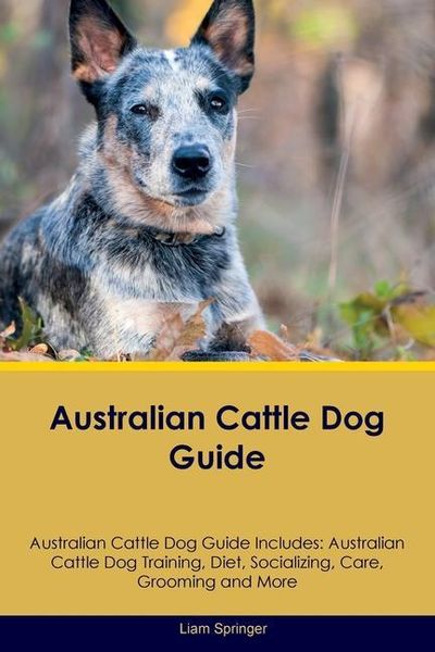 Produktbild: Australian Cattle Dog Guide Australian Cattle Dog Guide Includes