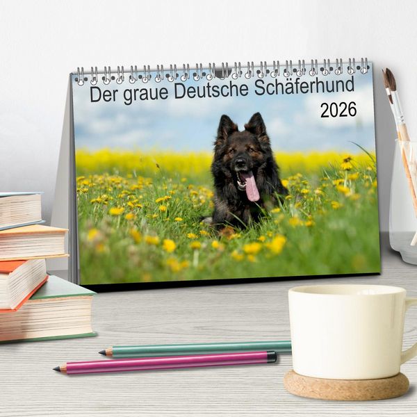 Produktbild: Der graue Deutsche Sch&auml;ferhund (Tischkalender 2026 DIN A5 quer), CALVENDO Monatskalender