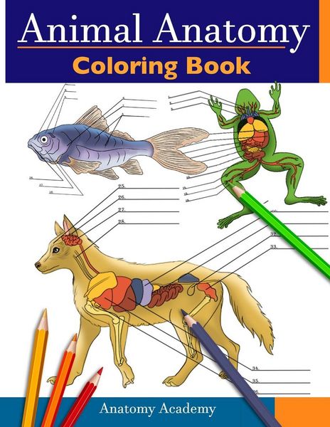 Produktbild: Animal Anatomy Coloring Book