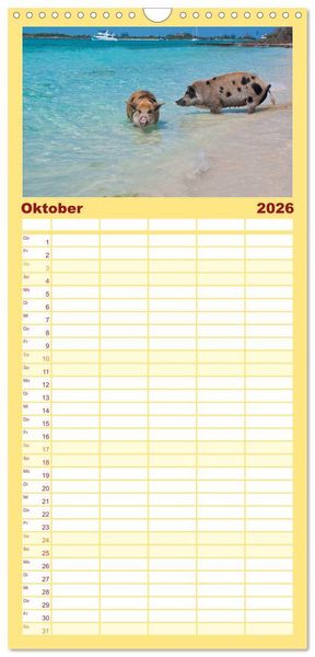 Produktbild: Familienplaner 2026 - Schweine im Dauerurlaub auf den Bahamas! mit 5 Spalten (Wandkalender, 21 x 45 cm) CALVENDO