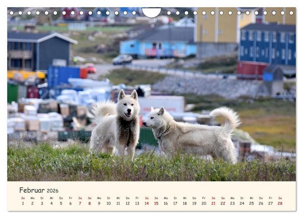 Produktbild: Gr&ouml;nland Faszinierend atemberaubend grandios (Wandkalender 2026 DIN A4 quer), CALVENDO Monatskalender