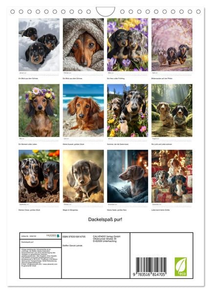 Produktbild: Dackelspa&szlig; pur! (Wandkalender 2027 DIN A4 hoch), CALVENDO Monatskalender
