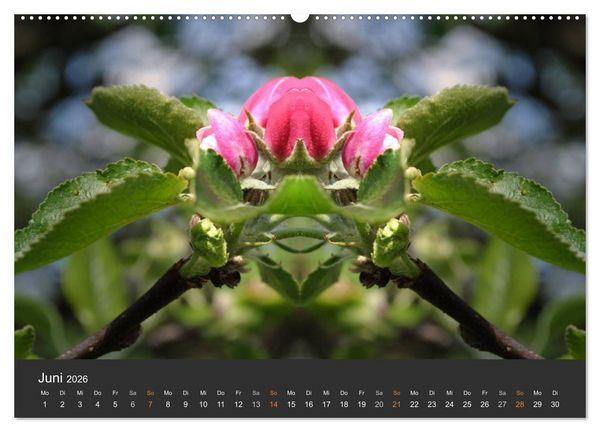 Produktbild: Spiegelwelten - Im Reich der Naturwesen (Wandkalender 2026 DIN A2 quer), CALVENDO Monatskalender