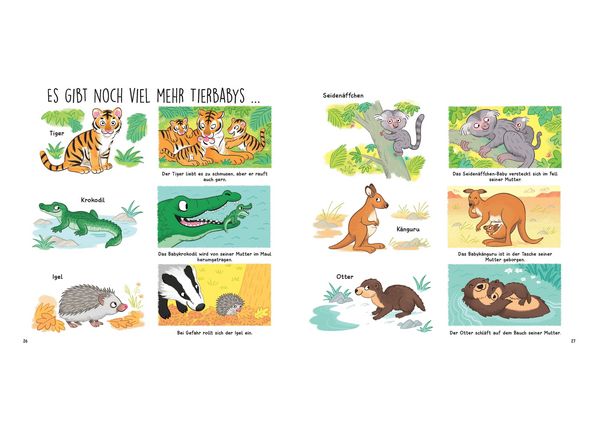 Produktbild: Kennst du die Tierkinder? - Sachbilderbuch f&uuml;r Kinder ab 3 Jahren