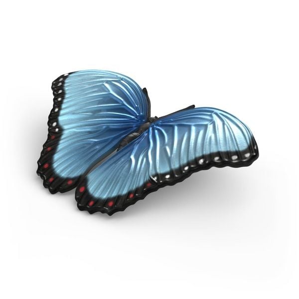 Produktbild: schleich&reg; 42741 Insekten Entdecker Set