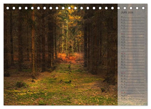 Produktbild: Unser Wald - Magische Sichten in norddeutsche W&auml;lder / Geburtstagskalender (Tischkalender 2026 DIN A5 quer), CALVENDO Monatskalender