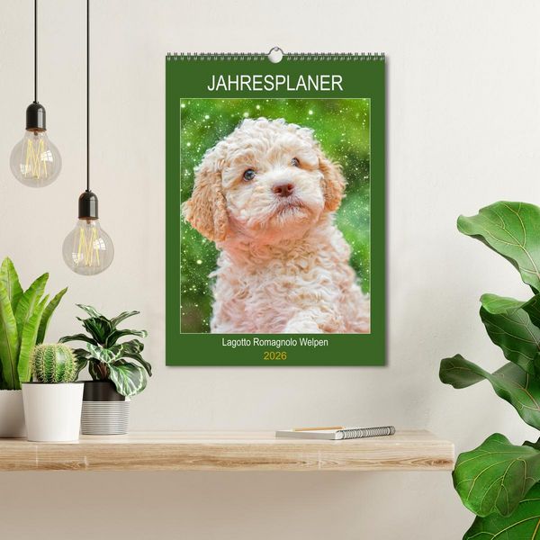 Produktbild: Jahresplaner Lagotto Romagnolo Welpen (Wandkalender 2026 DIN A3 hoch), CALVENDO Monatskalender