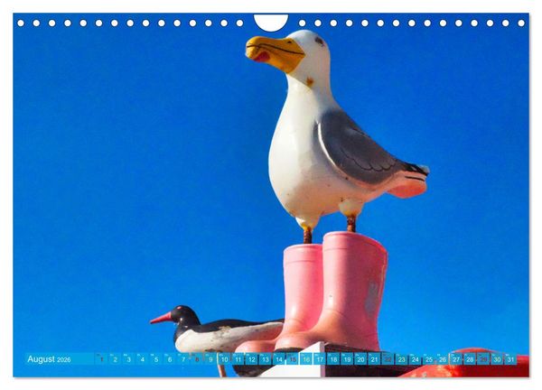 Produktbild: BORKUM Entdeckungen (Wandkalender 2026 DIN A4 quer), CALVENDO Monatskalender