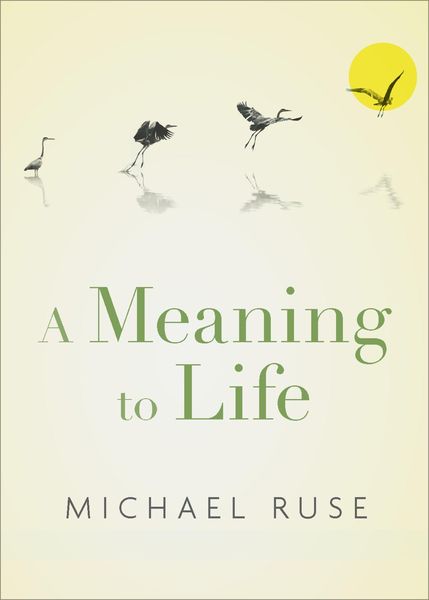 Produktbild: A Meaning to Life