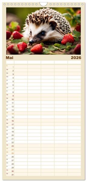 Produktbild: Familienplaner 2026 - Igel - Wildtier des Jahres 2024 mit 5 Spalten (Wandkalender, 21 x 45 cm) CALVENDO