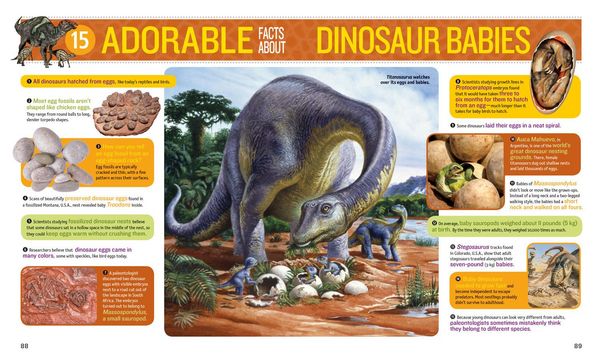 Produktbild: 1,000 Facts about Dinosaurs, Fossils, and Prehistoric Life