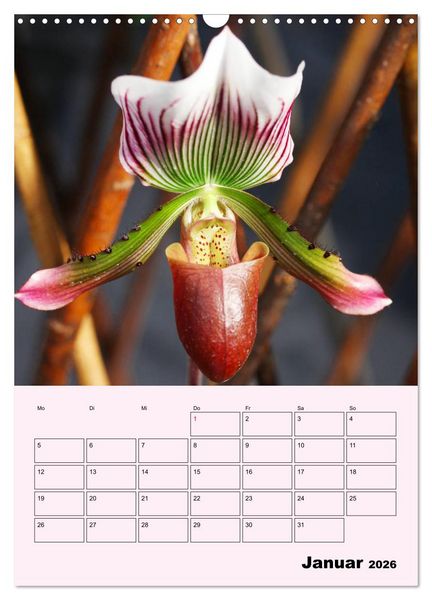 Produktbild: Orchideenliebe (Wandkalender 2026 DIN A3 hoch), CALVENDO Monatskalender