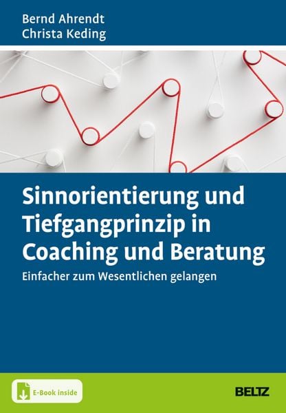 Produktbild: Sinnorientierung und Tiefgangprinzip in Coaching und Beratung