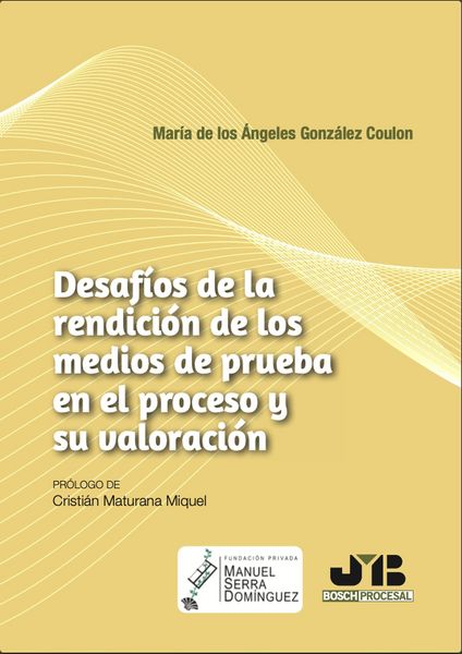 Produktbild: Desaf&iacute;os de la rendici&oacute;n de los medios de prueba en el proceso y su valoraci&oacute;n