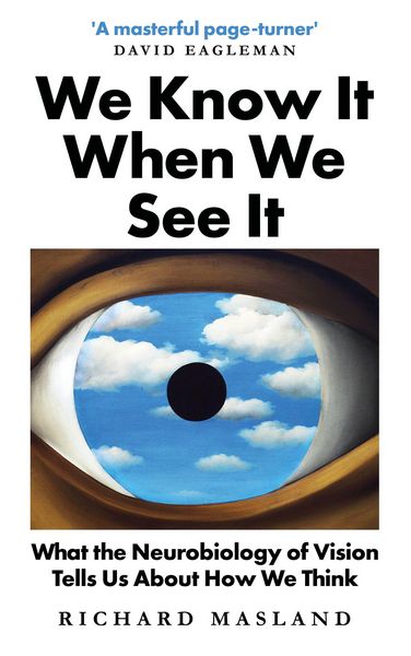 Produktbild: We Know It When We See It