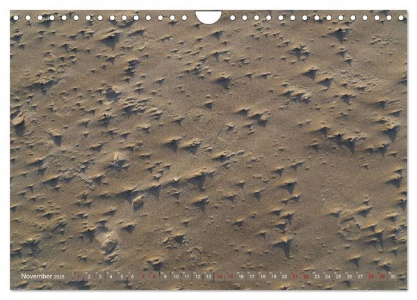 Produktbild: Einmaliges Westerhever (Wandkalender 2026 DIN A4 quer), CALVENDO Monatskalender